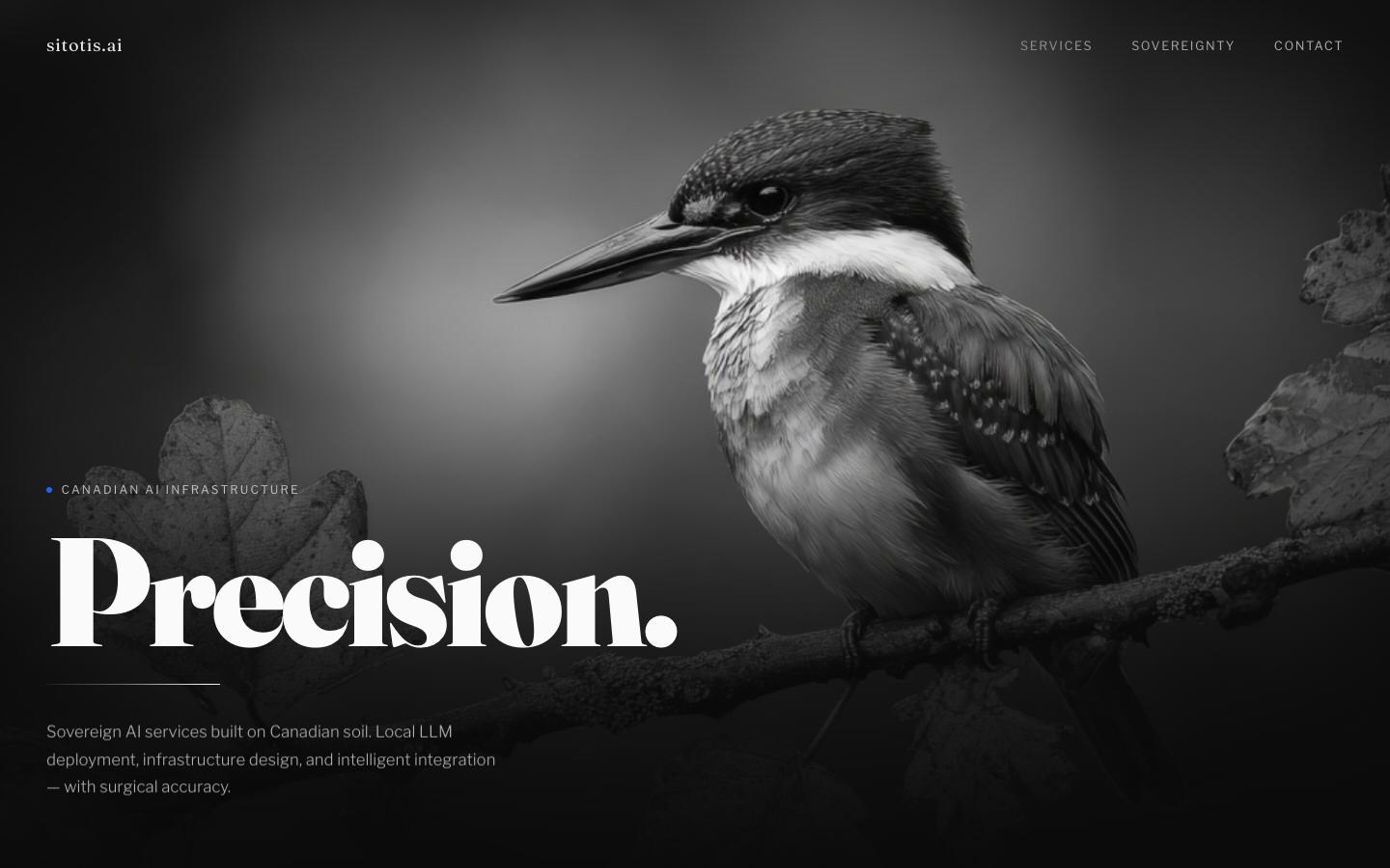 hero-kingfisher